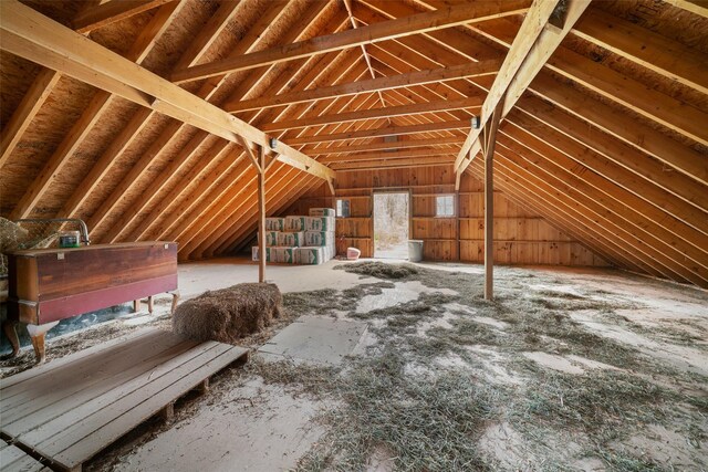 view of unfinished attic