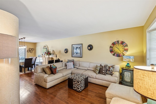 living area with dark wood-type flooring