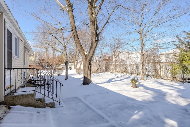 view of snowy yard