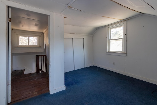 additional living space featuring baseboards, carpet, and vaulted ceiling