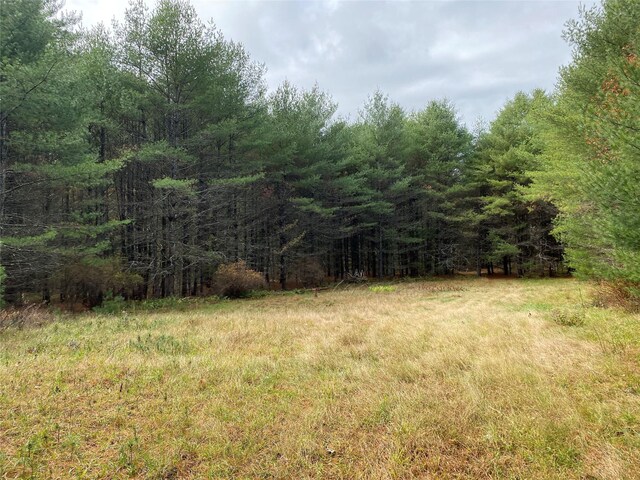 Stag Forest Rd, Forestburgh, NY 12777 - photo 19