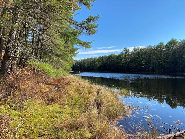 Stag Forest Rd, Forestburgh, NY 12777 - photo 20