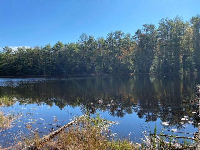 Stag Forest Rd, Forestburgh, NY 12777 - photo 21