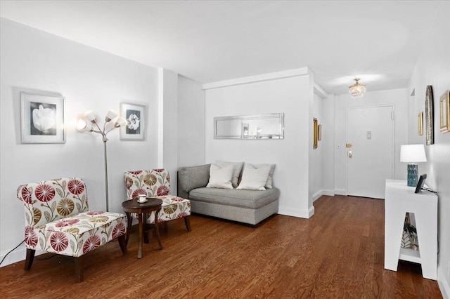 living area featuring dark wood-style flooring