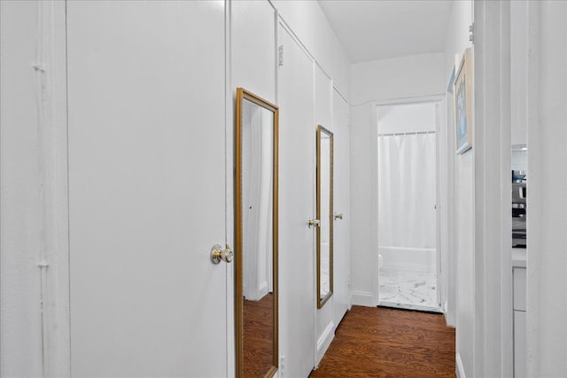 hallway featuring dark wood-type flooring