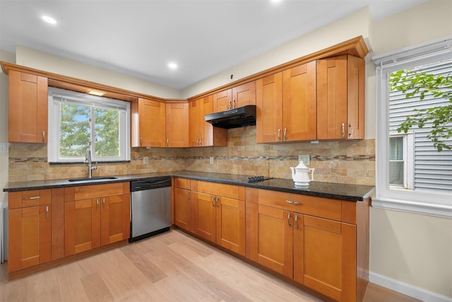 2057 Renfrew Ave, Elmont, NY 11003 - kitchen featuring stainless steel dishwasher, a sink, under cabinet range hood, light wood-type flooring, and recessed lighting