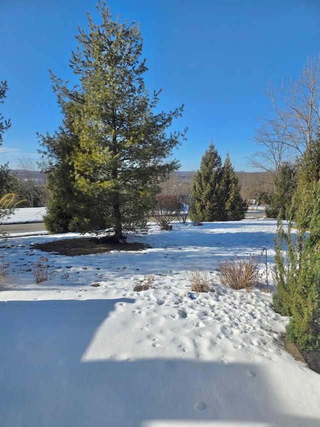 view of snowy yard