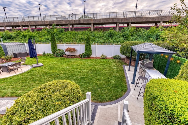 view of yard featuring a fenced backyard, a patio, and area for grilling