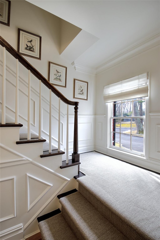 stairway with a wainscoted wall, carpet, ornamental molding, and a decorative wall