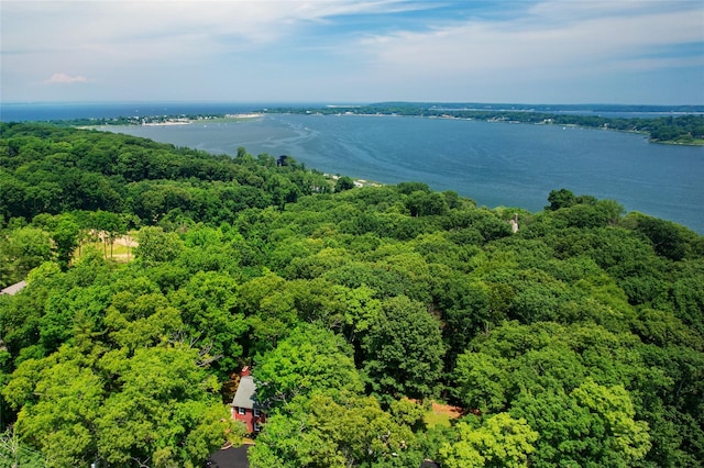 aerial view featuring a water view and a view of trees