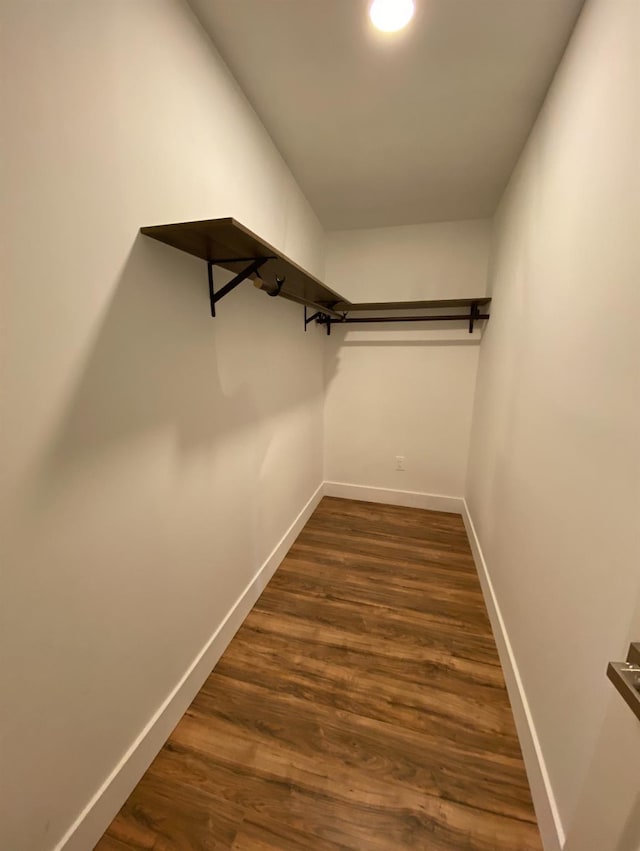 walk in closet with dark wood-type flooring