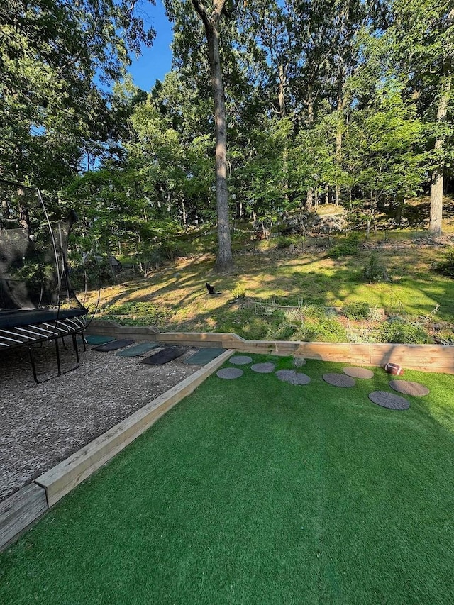 view of yard featuring a trampoline