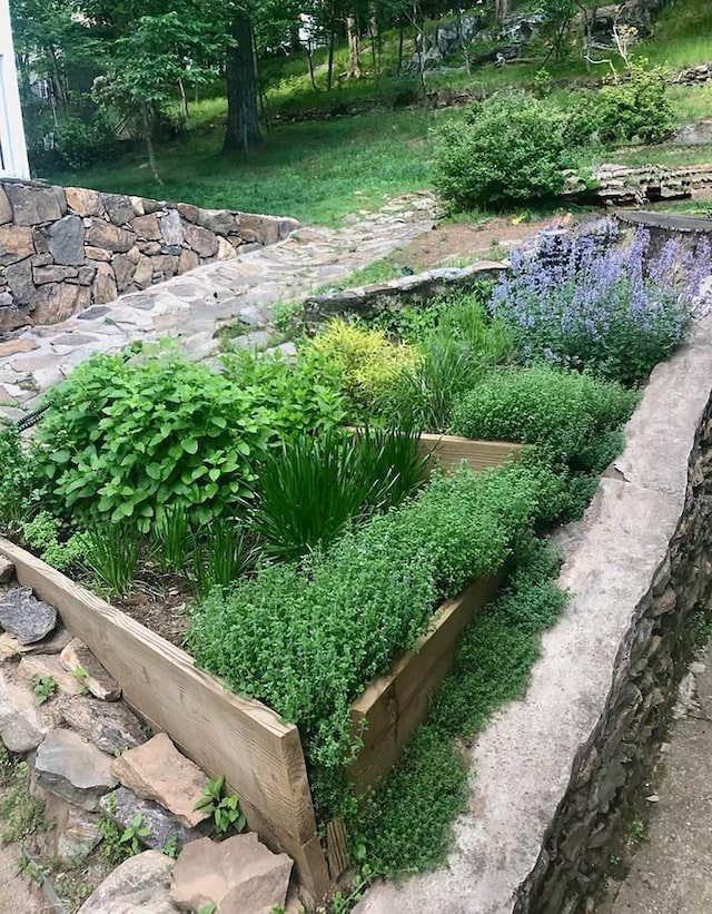 view of yard with a garden