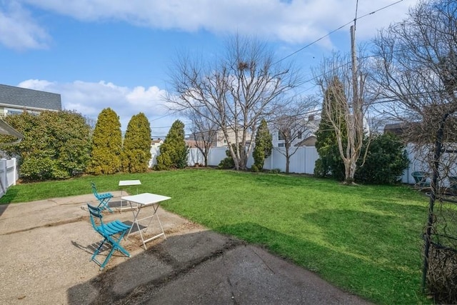 view of yard with a patio area and a fenced backyard