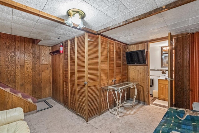 interior space featuring carpet floors and wooden walls