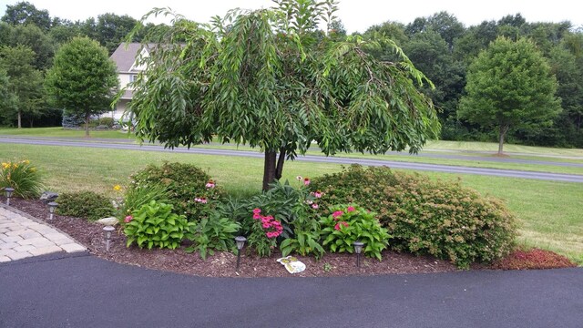 7 Victorian Ct, Milton, NY 12547 - photo 42