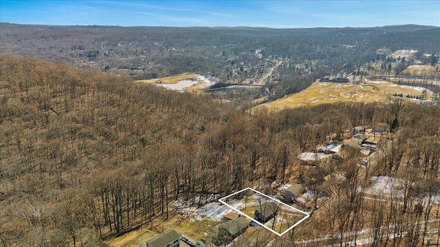 bird's eye view featuring a forest view and a mountain view