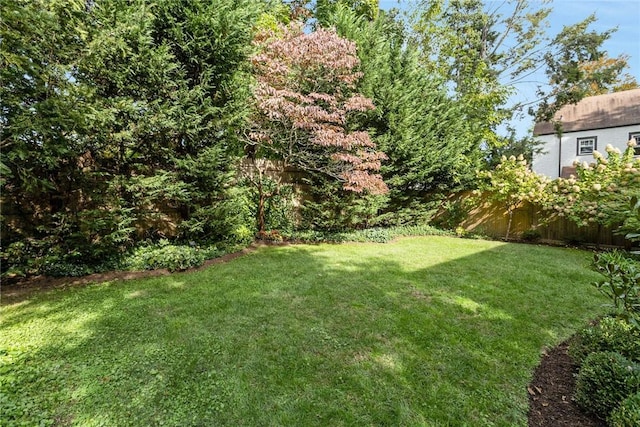 view of yard featuring fence