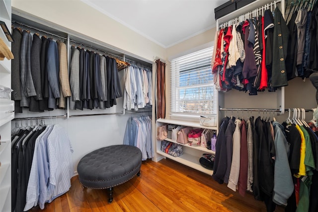 spacious closet with wood finished floors