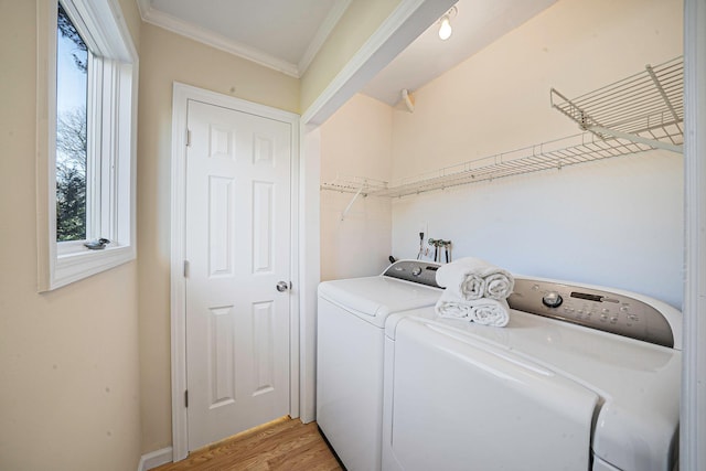 washroom featuring washer and dryer, laundry area, crown molding, and light wood-style flooring