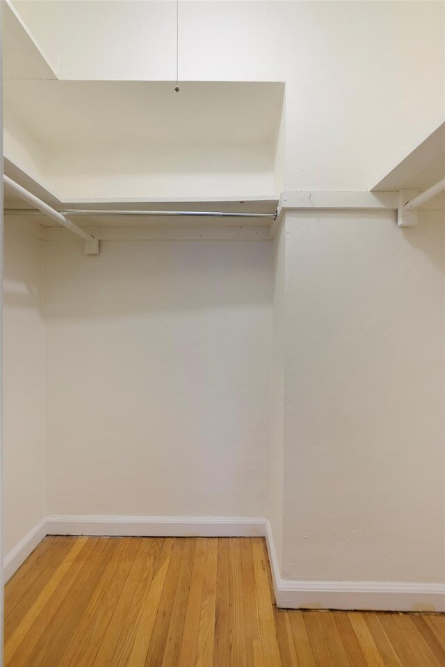 walk in closet featuring wood finished floors