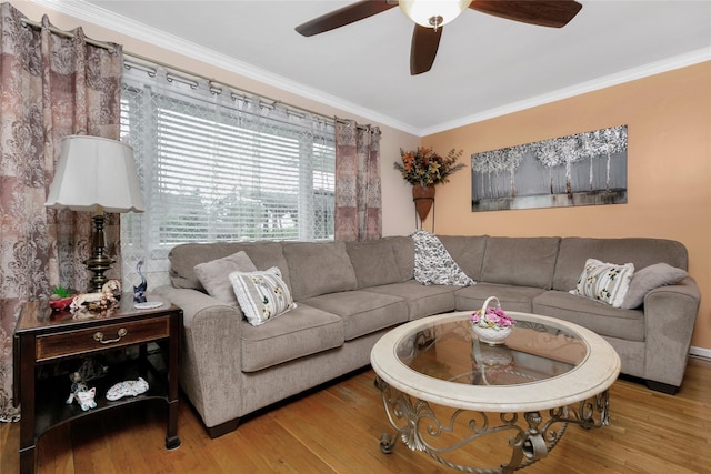 living room featuring ceiling fan, crown molding, and wood finished floors