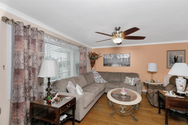 living area featuring a ceiling fan, ornamental molding, and wood finished floors