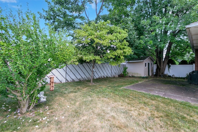 view of yard featuring a fenced backyard, a shed, an outdoor structure, and a patio