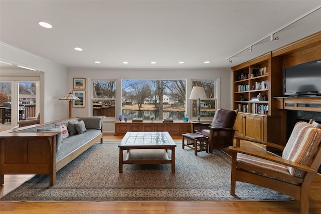 living area with rail lighting, ornamental molding, wood finished floors, and recessed lighting