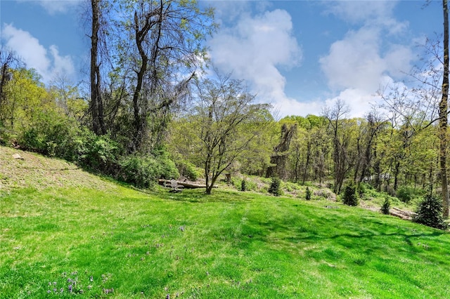 view of yard featuring a view of trees