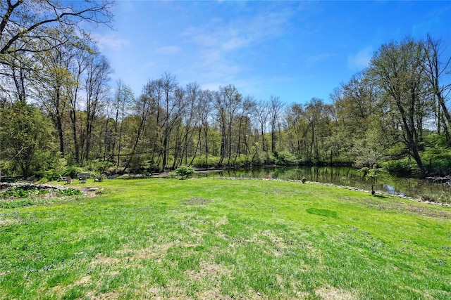 view of yard with a water view