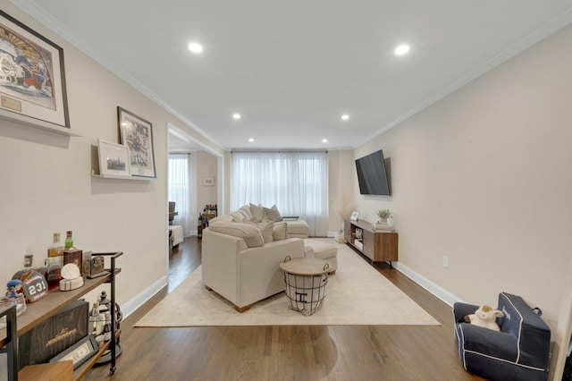 living area featuring ornamental molding, baseboards, and wood finished floors