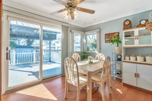 dining room with light wood finished floors, ornamental molding, a sunroom, and a ceiling fan