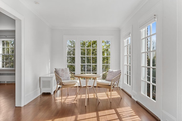 sunroom with radiator