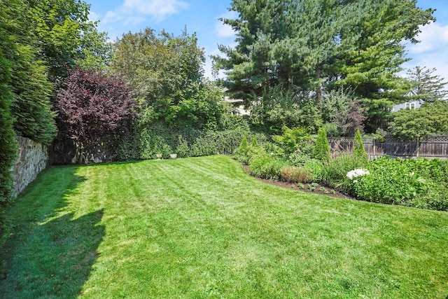 view of yard with fence