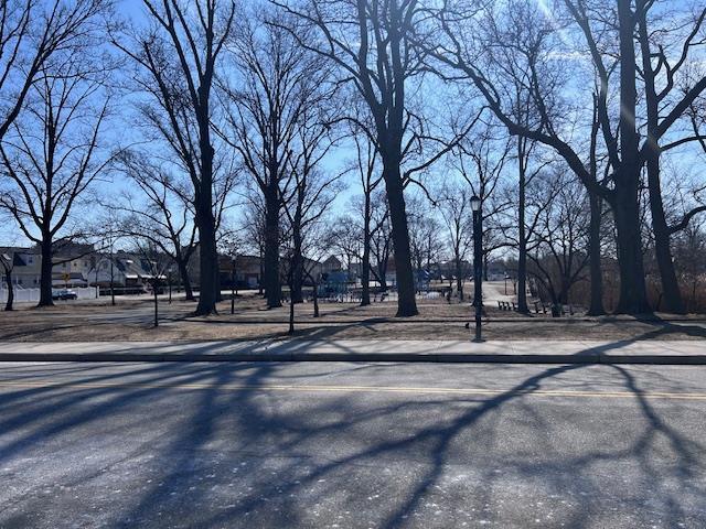 view of street featuring curbs and sidewalks