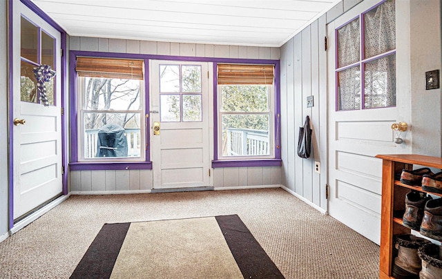 doorway with carpet, baseboards, and a wealth of natural light