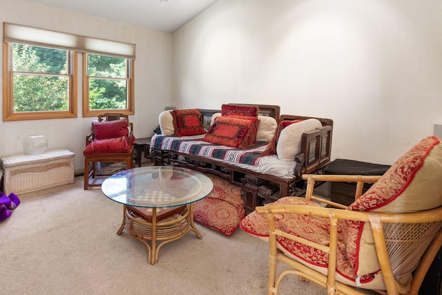 29 Kenwood Rd, Southampton, NY 11968 - view of carpeted living room