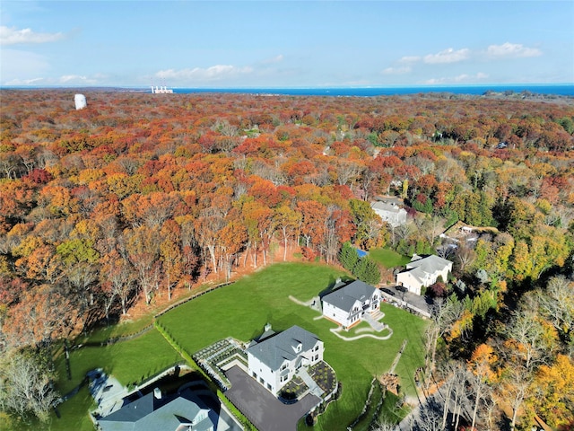 drone / aerial view with a view of trees