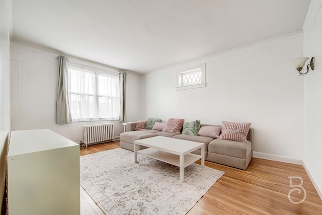 living room with ornamental molding, radiator heating unit, and light wood-type flooring