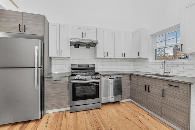 kitchen with light wood-style flooring, light stone counters, stainless steel appliances, under cabinet range hood, and a sink