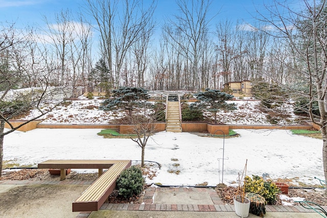 view of snowy yard