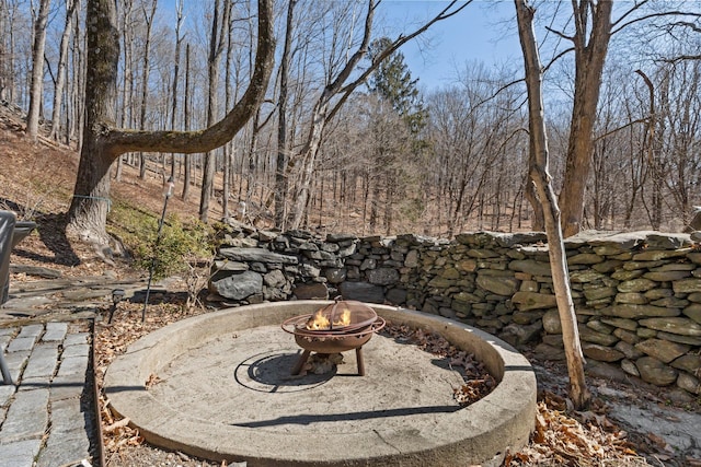 view of yard featuring a fire pit