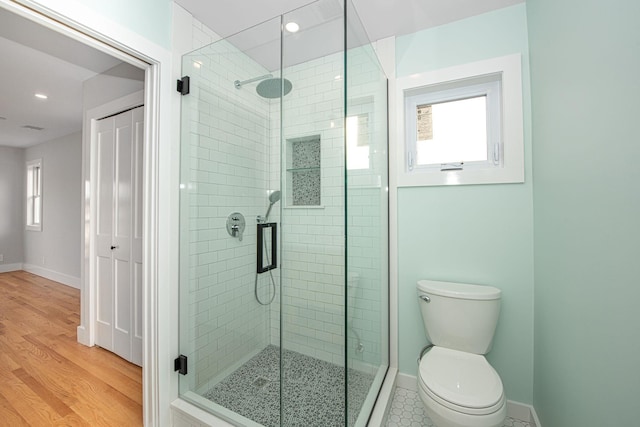 full bathroom featuring a closet, a healthy amount of sunlight, a shower stall, and toilet