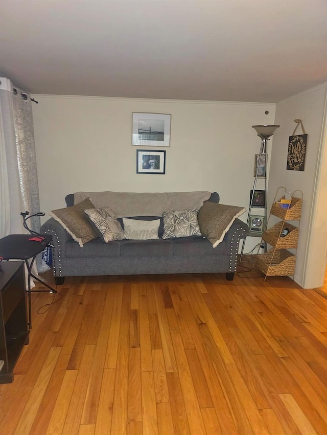 living room with light wood-type flooring