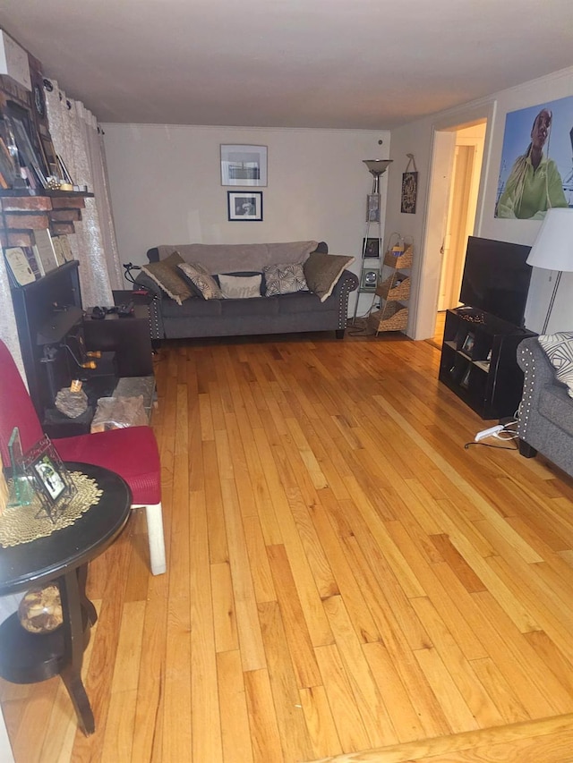 living area featuring hardwood / wood-style flooring