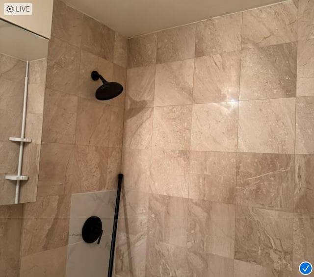 room details featuring tiled shower