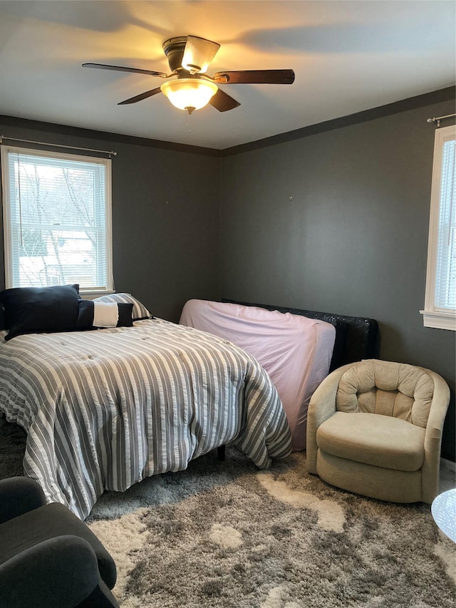 bedroom featuring carpet, a ceiling fan, and crown molding