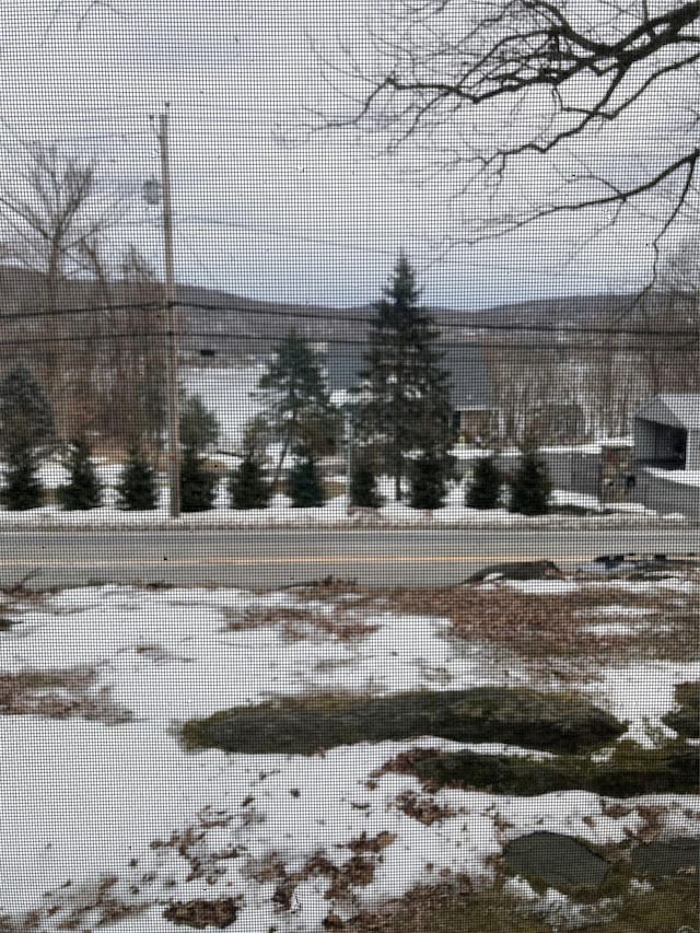 view of yard covered in snow