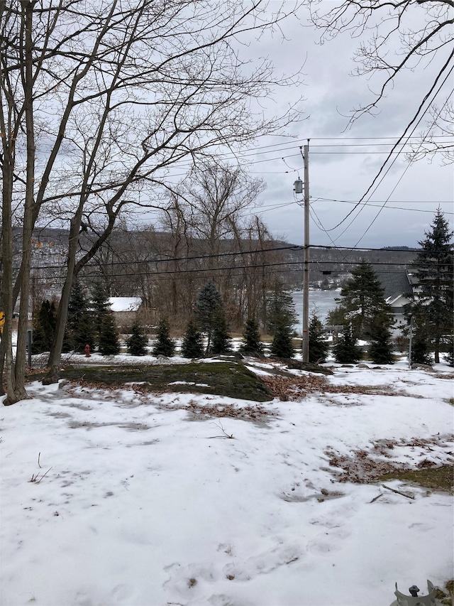 view of yard covered in snow